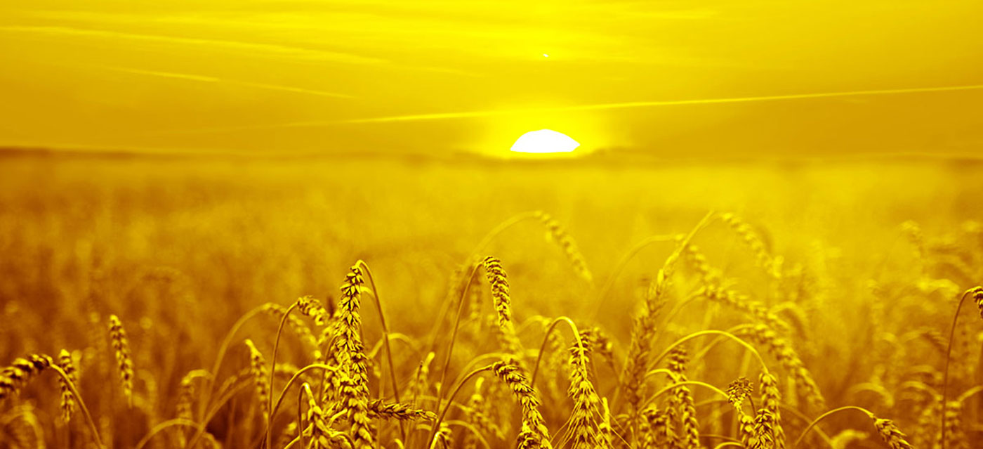 আমরা রঙ সলিউশন অফার পছন্দ করি